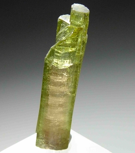 楽天市場】【鑑別付】天然ウォーターメロントルマリン 7.849ct