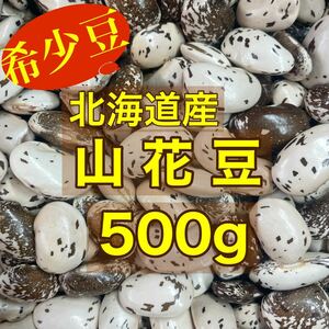 【新豆】北海道産 山花豆500g