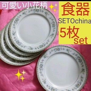 食器 皿 5枚セット