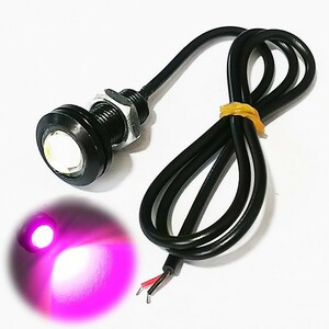 LED/ヘッドライト/ポジション/ボルト イーグルライト M10 紫 グロム MSX125 JC65 JC71 モンキー125 NSR125R CBR250RR CBR400R NSR250R