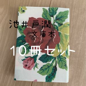 池井戸潤　文庫本１０冊セット（１）