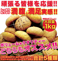 満腹おから豆乳ソフトクッキー1kg/ダイエットスイーツ_画像1
