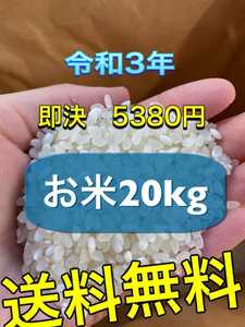 お米　20kg 送料無料　お得　格安　ブレンド米　令和３年　限定　即決　栃木産 うるち米