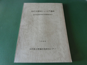 羽咋市柳田シャコデ遺跡 能登海浜道関係埋蔵文化財調査報告書3