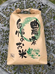 送料無料　京都丹波産コシヒカリ5kg 白米　令和3年度産　新米　美味しいお米　食味値　Aランク　　