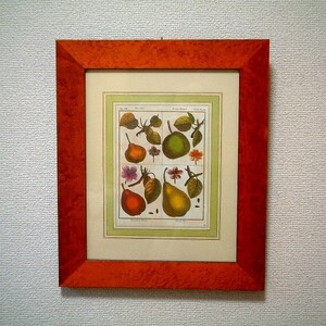 ◆イタリア製◆アート木製額/フルーツ/1759/アートフレーム
