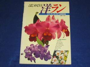 はじめての洋ラン　江尻光一■洋ランを上手に育てる基礎知識