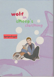 スーパーナチュラル同人誌■wolf in～/月に遠吠え■S×D