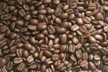 ガテマラ SHB アンティグア コーヒー豆