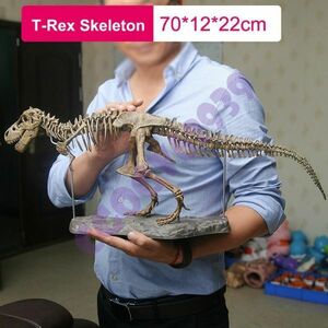 E0302:恐竜の模型 ビッグサイズ ティラノサウルス 化石 おもちゃ プラモデル
