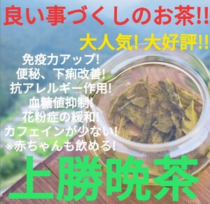 大人気!! 上勝阿波晩茶ティーパック入り30個