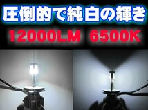 CITIZEN製【 ティアナ J31 H15.02～H17.11 H8/H11/H16 用】車種専用で簡単安心取付 車検対応6500k 12000LM HID超えの発光量_画像4