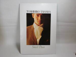 TOSHIHIKO　TAHARA SWEET PAIN パンフレット 1980/1/1 c-3