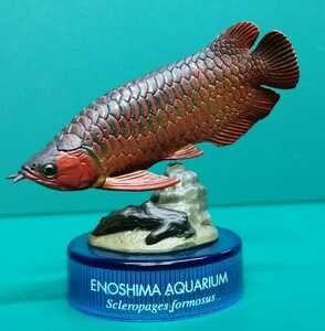 アジアアロワナ　熱帯魚　アロワナ　古代魚　フィギュア
