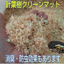 成虫にはコレ！針葉樹クリーンマット20L爽やかな香り！綺麗で明るいので生体がかっこ良く見える！コバエやダニも寄せ付けない抗菌、防臭も_画像4