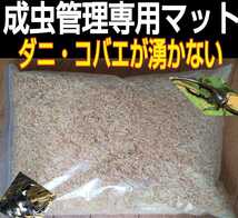 外国産カブトムシの成虫管理に最適！ふわふわ！爽やかな香りの針葉樹クリーンマット☆ケース内が明るくなり生体が引き立つ☆防ダニ効果抜群_画像6