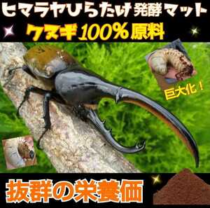 ヒマラヤひらたけ菌床発酵カブトムシマット！栄養価抜群！ビッグサイズ狙えます！ 産卵マットにも抜群の効果！雑虫、コバエが全く湧かない