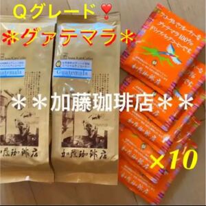 *加藤珈琲店*世界規格Qグレード認証スペシャルティ☆グァテマラ尽くしセット♪
