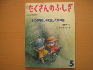 ニレの中をはじめて旅した水の話/越智典子/トメク・ボガツキ/たくさんのふしぎ1993年5月/ニレの木の中での水の働き/細胞分裂/雨/蒸発