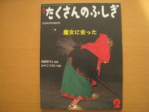 魔女に会った/角野栄子/みやこうせい/たくさんのふしぎ1993年2月/魔女に会う旅/祭り/行事/ルーマニアの現代の魔女