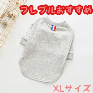 【XLサイズ】犬服 Tシャツ カットソー 中型犬 スウェット