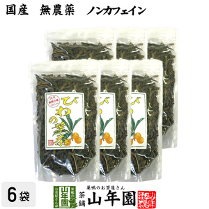 健康茶 国産100% びわ茶 びわの葉茶 100g×6袋セット 無農薬 ノンカフェイン 送料無料
