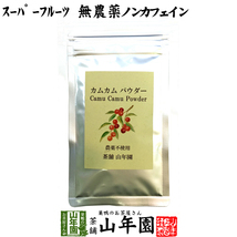 健康食品 無農薬 カムカムパウダー 50g ペルー産 粉末 ノンカフェイン 送料無料_画像1