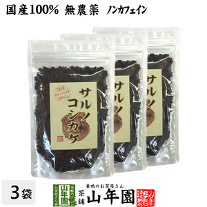健康茶 国産100% サルノコシカケ茶 70g×3袋セット 宮崎県産 ノンカフェイン 無農薬 送料無料