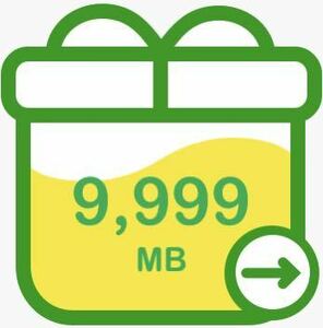【匿名発送】即発送 パケットギフト 10GB (9999MB) mineo