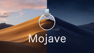 macOS Mojave 10.14.6 [最終更新版] ダウンロード納品【12時間以内対応】