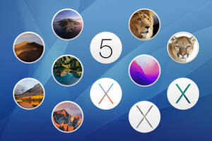 macOS 選べる5個セット【 Lion 10.7.5 ～ Monterey 12.0.1 】ダウンロード納品
