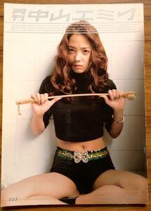 中山エミリ 写真集 月刊中山エミリ 月刊シリーズ No.023