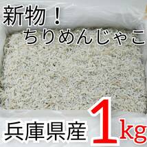 【即決】1ｋｇ/2700円 ちりめんじゃこ(かちり) 良品/小筋 兵庫県淡路島産 抜群に旨いです。天日干し仕上げ 他商品と同梱可 安心の業者販売 _画像1