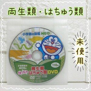 小学館の図鑑 NEO 両生類・はちゅう類 DVD単品