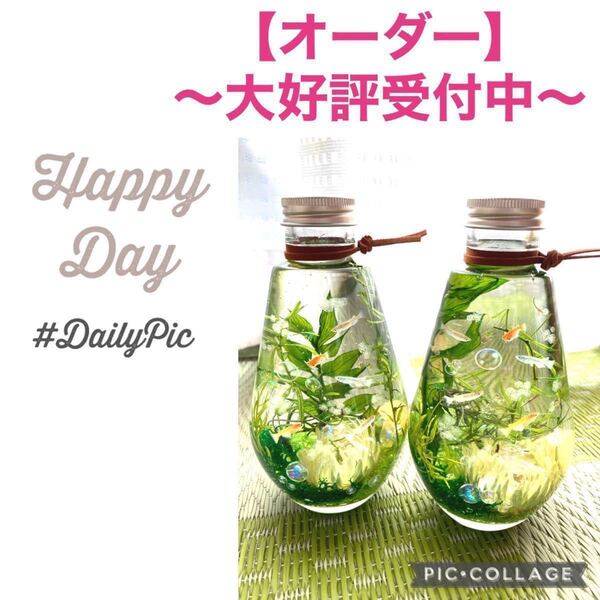 【メダカ】〜水槽風〜爽やかアクアリウム 夜光石&蓄光ホログラムin