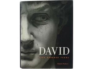 ※洋書◆ダビデ像 500周年記念写真集 ミケランジェロ 本