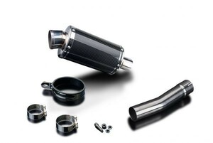 DELKEVIC スリップオンカーボンオーバルマフラー★TRIUMPH DAYTONA 955I 2001-2002 225mm KIT03GD