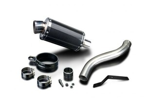 DELKEVIC スリップオンカーボンオーバルマフラー★TRIUMPH SPEED TRIPLE 955i 2002-2004 225mm KIT03CR