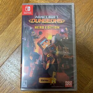 【Switch】 Minecraft Dungeons Hero Edition