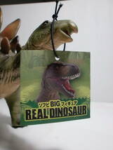 ソフビ　BIG　フィギュア　REAＬ DINOSAUR_画像10