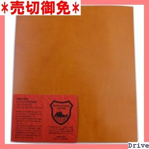 売切御免 栃木レザー キャメル 手芸 レザークラフト 端革 本革はぎれ 001 T- 19㎝×17㎝プラスA4相当 ヌメ革 12