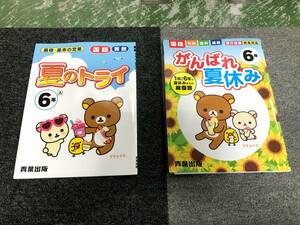 【未使用品 セット販売】★☆小学6年生 夏休み学習教材2冊セット 総復習 学業対策 家庭学習☆★現状渡し