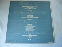 Gaku-MC / 僕は僕でだれかじゃない Remix 試聴可　オリジナル盤 12EP キャッチーPOP RAP_画像2