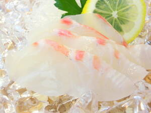 愛媛県産 真鯛スライス 鮮度抜群で解凍後 お刺身でお召し上がり出来ます 1Ｐ4枚入りです