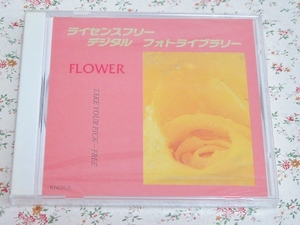 n/素材集 ライセンスフリーデジタルフォトライブラリー FLOWER 花 薔薇 バラ