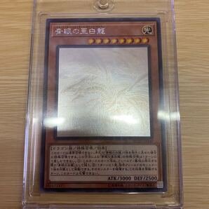 遊戯王 青眼の亜白龍 ホログラフィック ホロ (ブルーアイズ・オルタナティブ・ホワイト・ドラゴン)