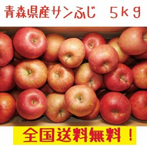青森県産　家庭用　りんご　サンふじ　5kg　全国送料無料！４