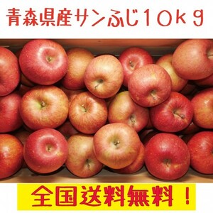 青森県産　家庭用　りんご　サンふじ　10kg　全国送料無料！6