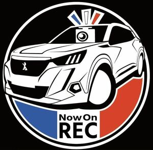  free car make . color modification possibility Peugeot 2008 gt drive recorder do RaRe ko sticker 