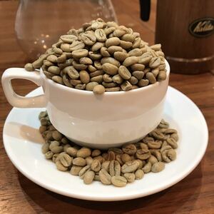 コーヒー生豆 無農薬　モカ　800g
